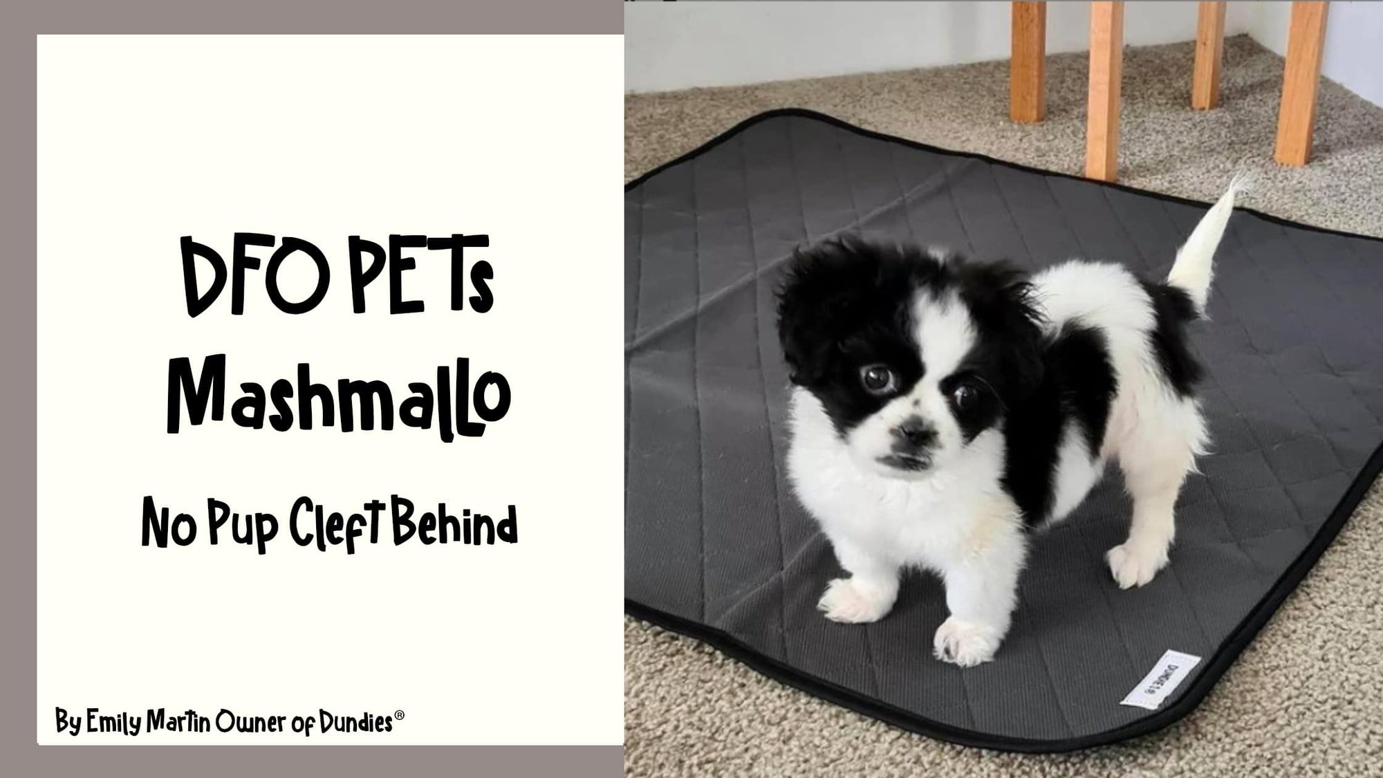Direct Factory Outlet Pets - Marshmallow from No Pup Cleft Behind
