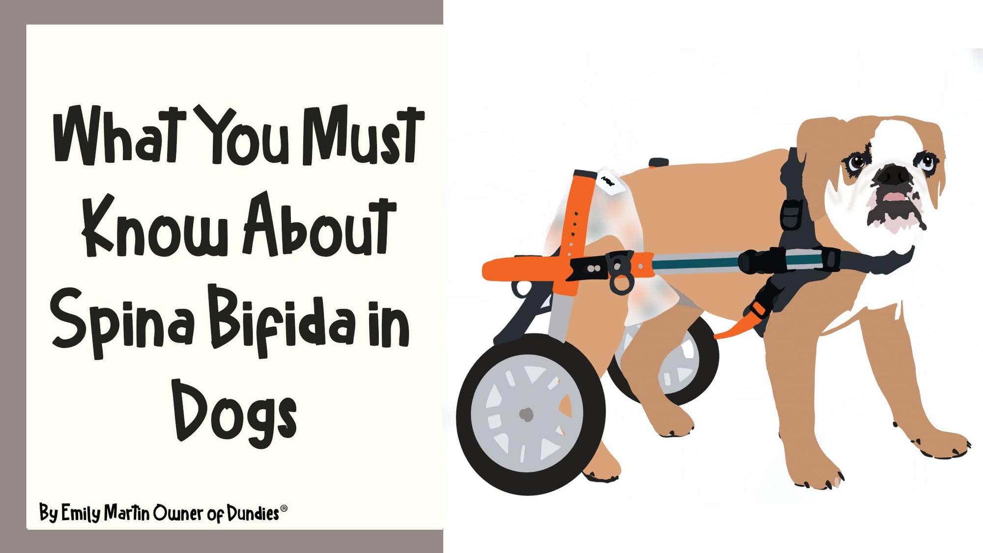 What you must know about Spina Bifida in Dogs