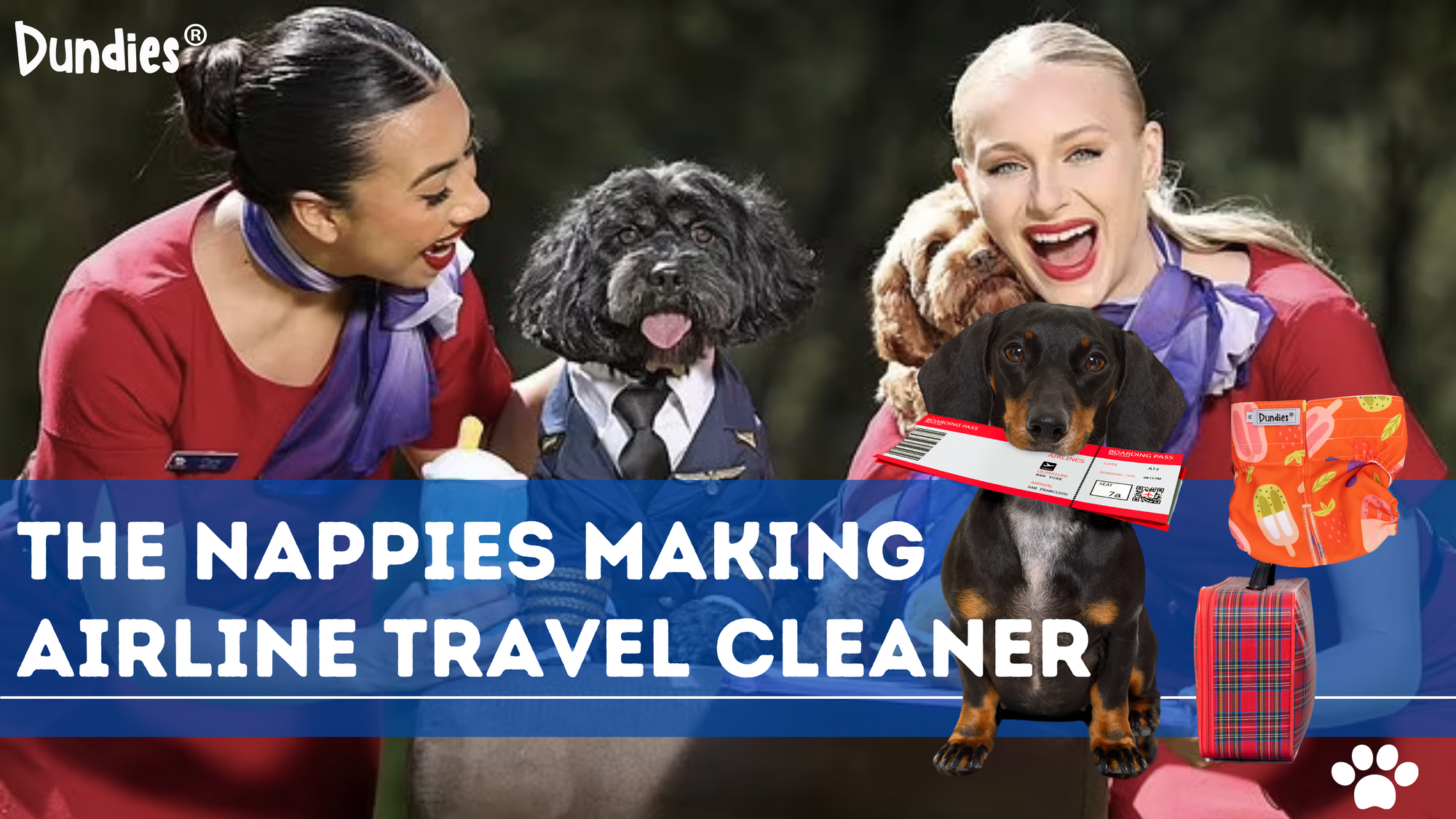 Dundies Pet Nappies: A Solution to the In-Flight Pet Predicament