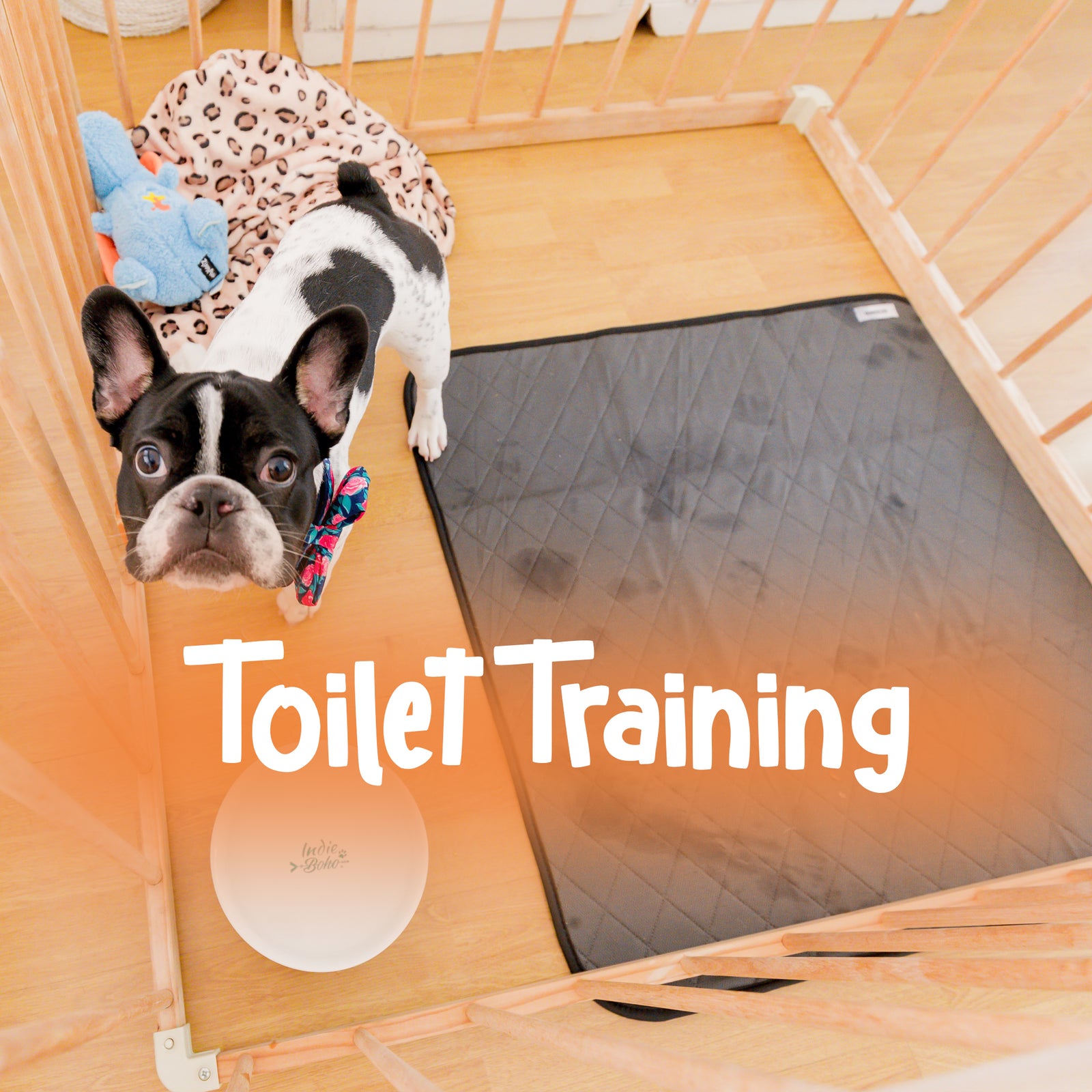 Dundies Toilet Training Reusable Pee Pads
