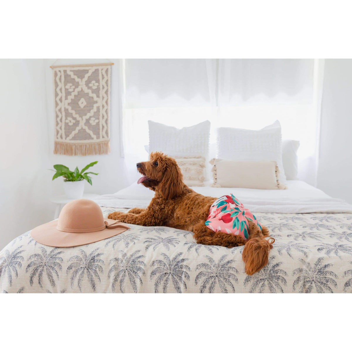 Dundies Pomegranate All In One Nappy (AIO)-Dundies Australia - Vet Recommended Pet Nappies