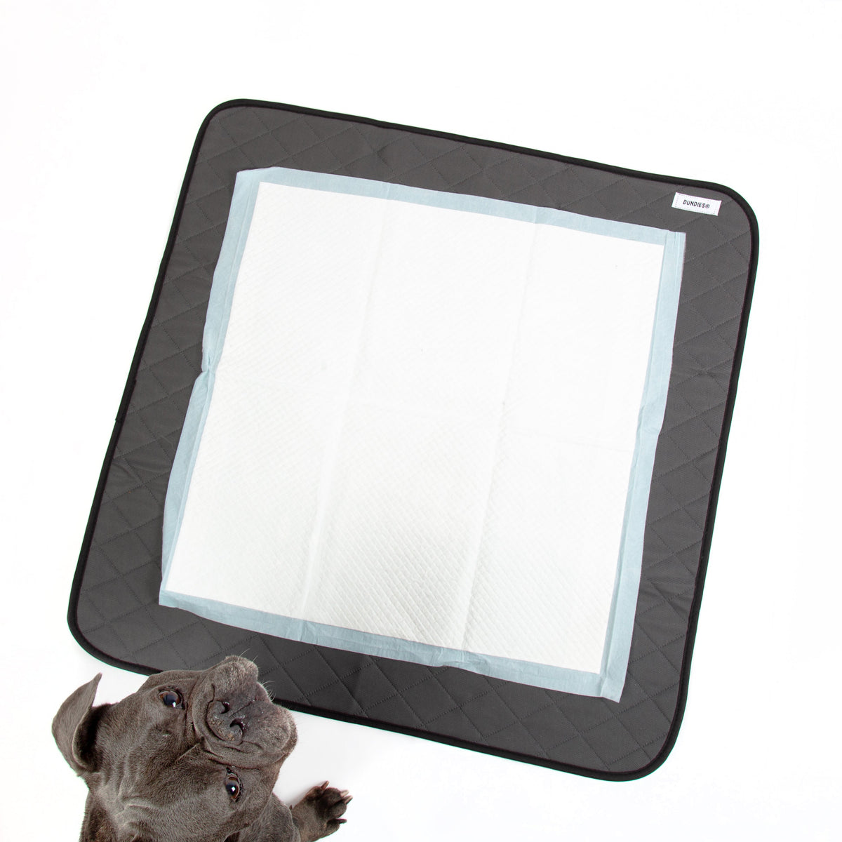 Dundies® Washable Puppy Pad Twin Pack-Dundies Australia - Vet Recommended Pet Nappies