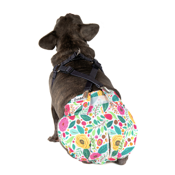 Dog store diaper harness