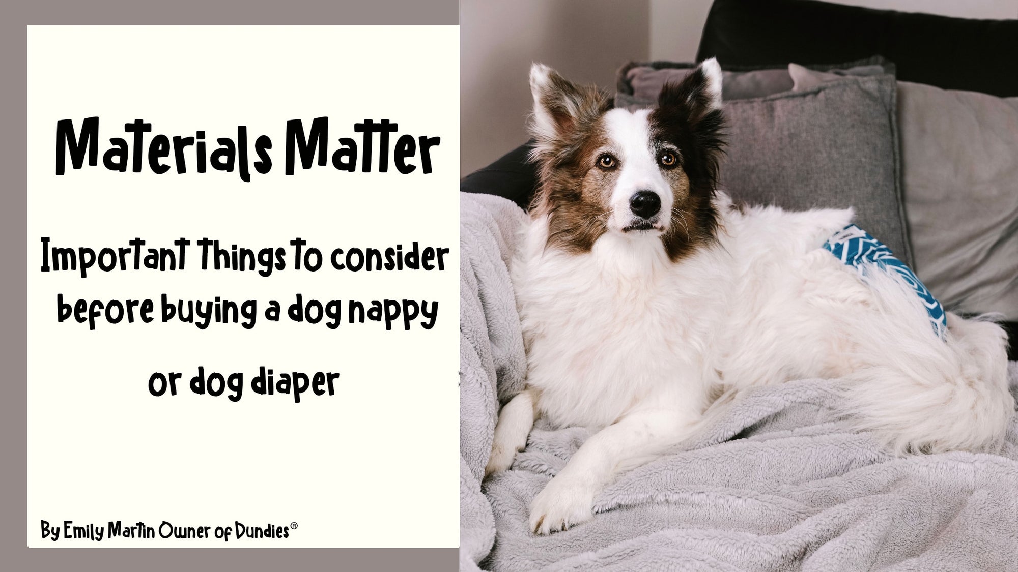 Material Matters - Things to Consider When buying a Pet Nappy or Diaper