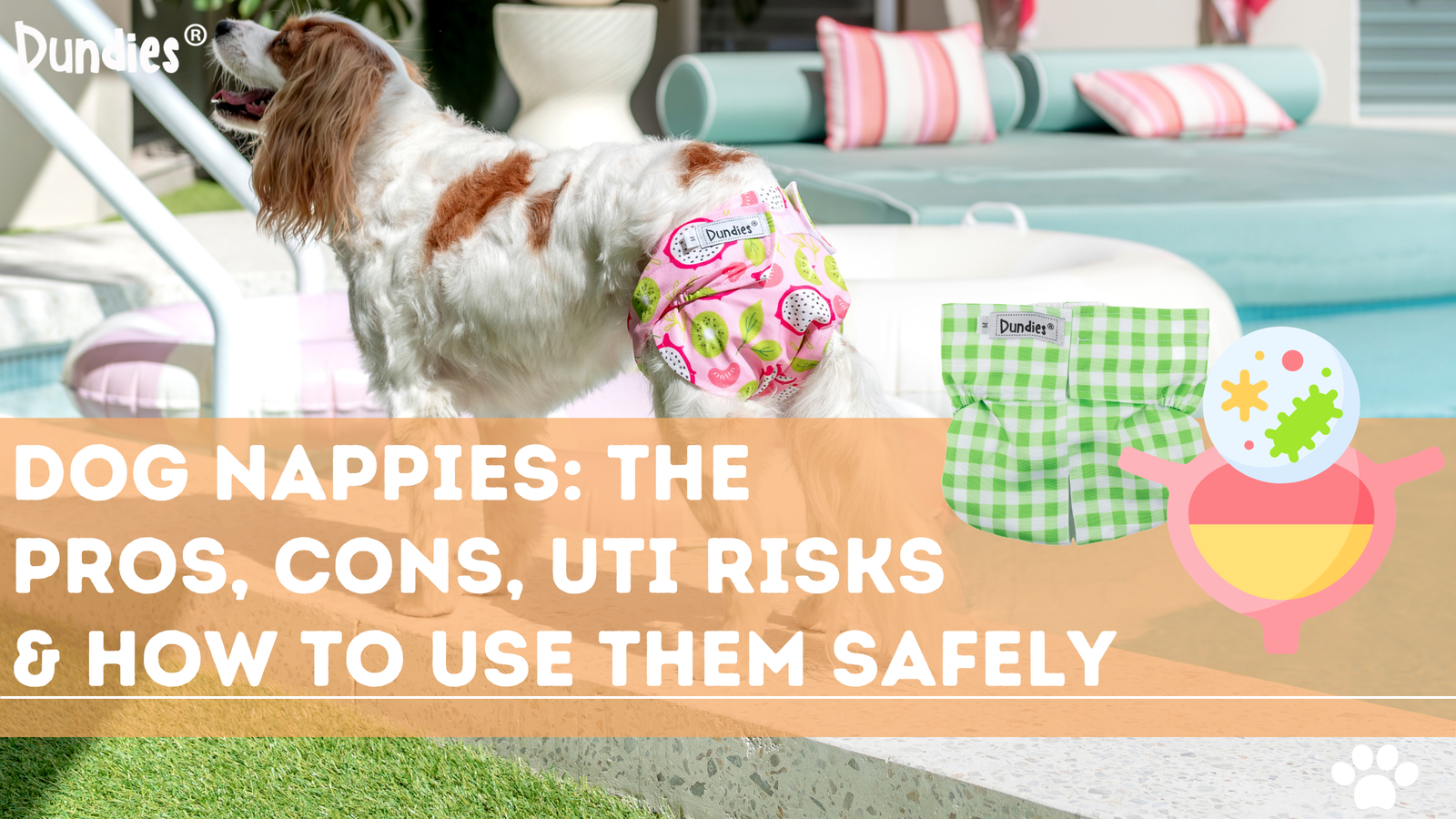 Dog Nappies: The Pros, Cons, UTI Risks & How to Use Them Safely