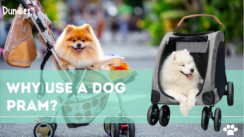 Dog walking pram on sale