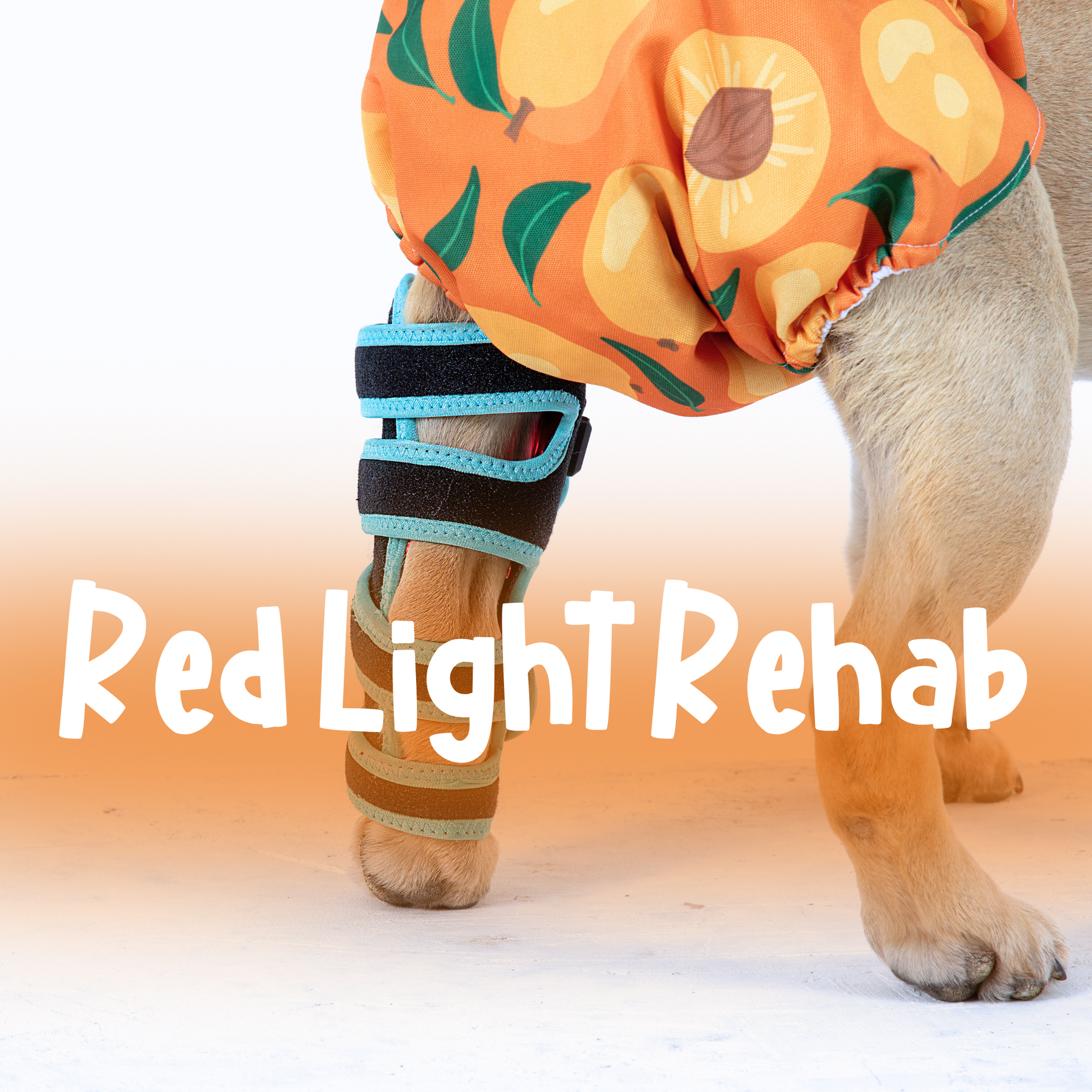 Red Light LED Therapy