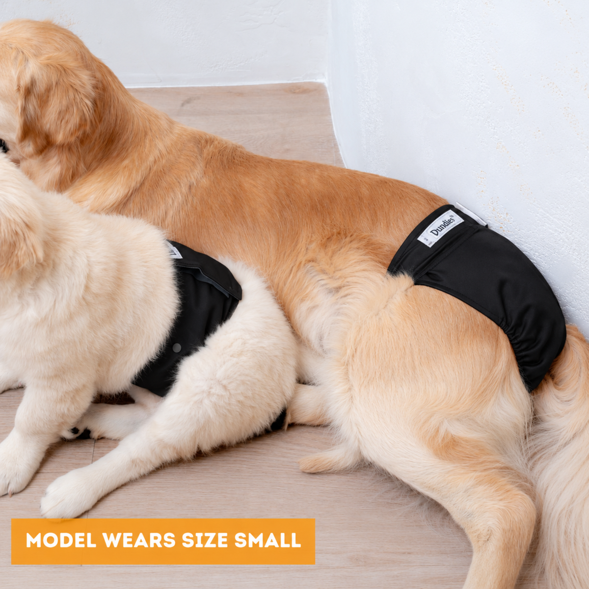 Dundies Black V2 Belly Band - PRE ORDER EARLY NOV