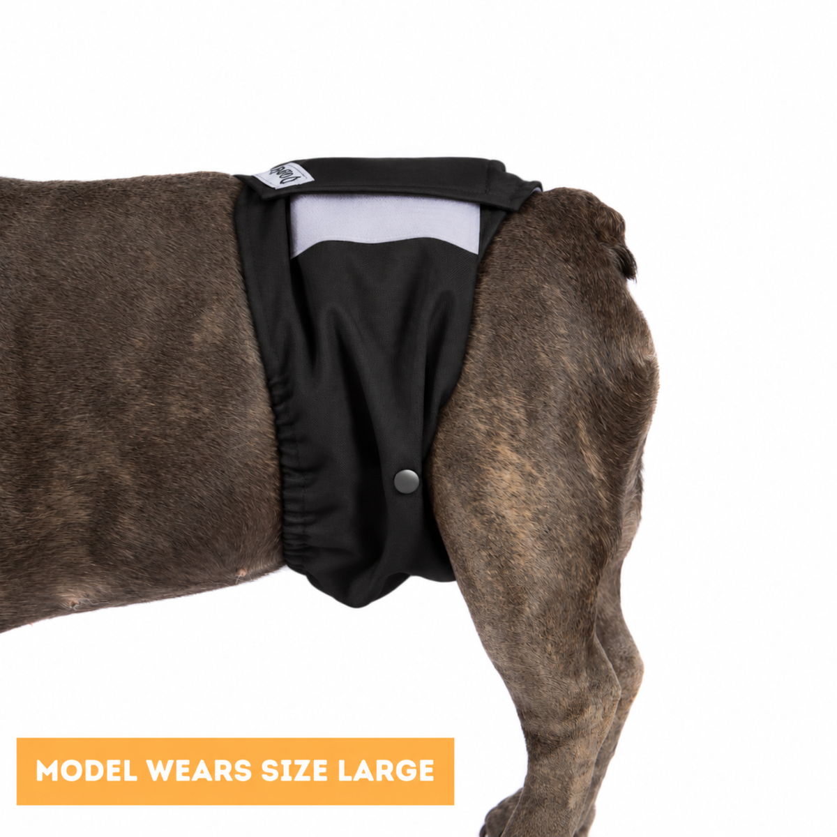 Dundies Black V2 Belly Band - PRE ORDER EARLY NOV