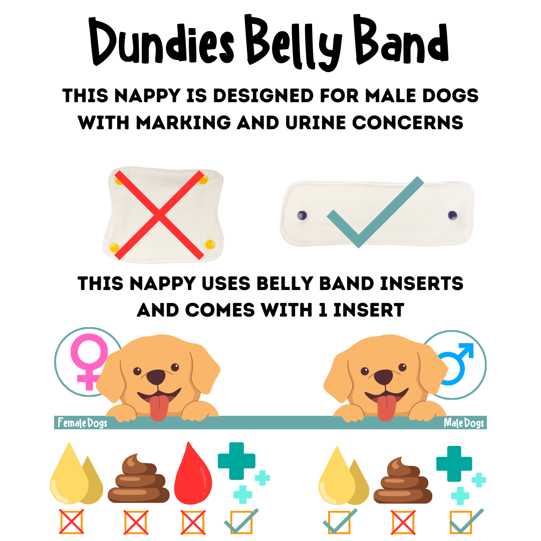 Dundies Navy Belly Band