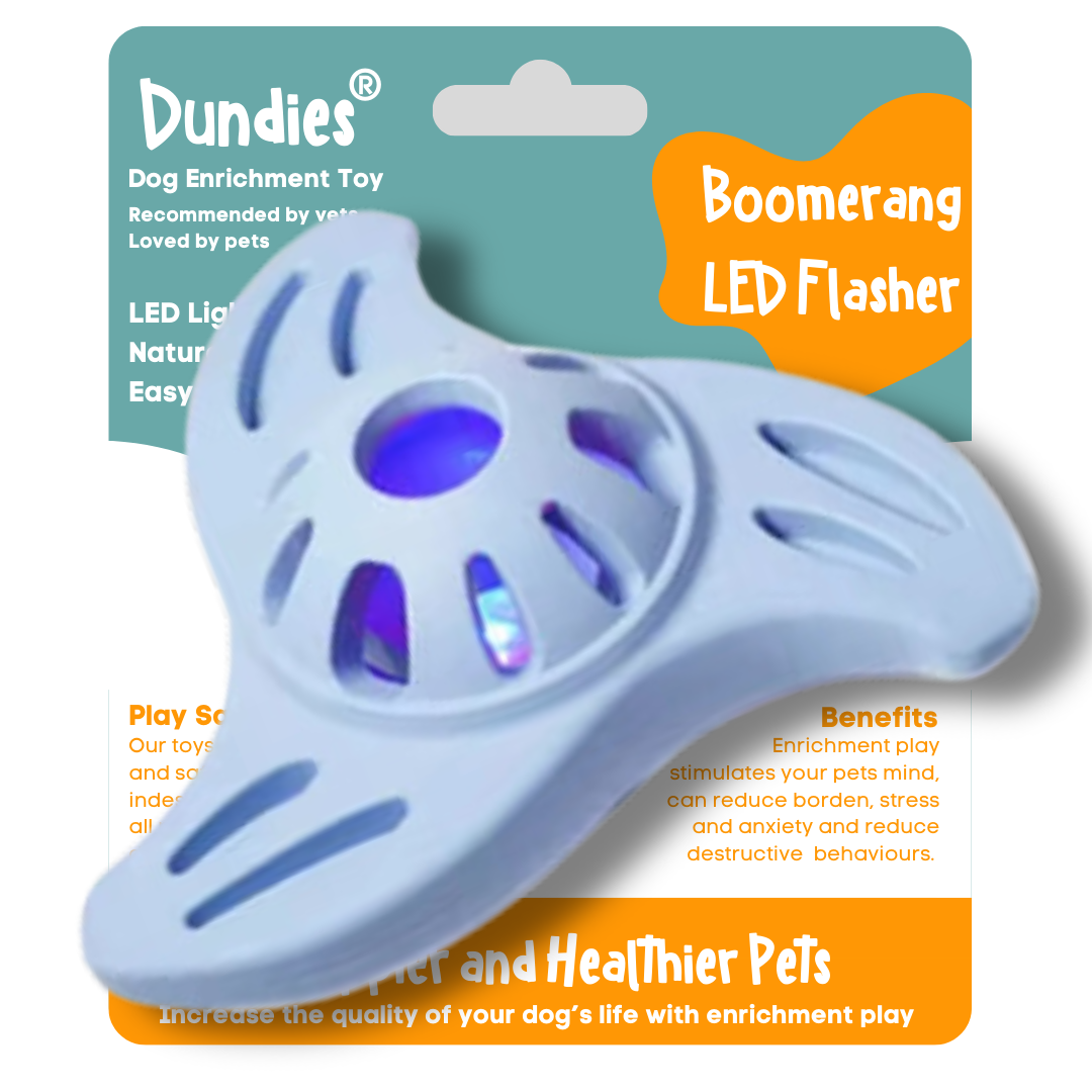 Dundies Boomerang LED Flasher Dog Enrichment Toy - Blue