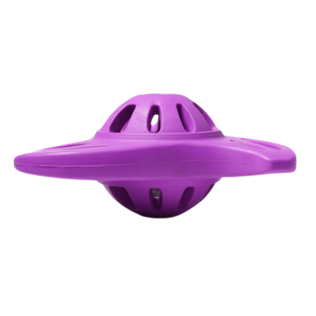 Dundies Boomerang LED Flasher Dog Enrichment Toy - Purple