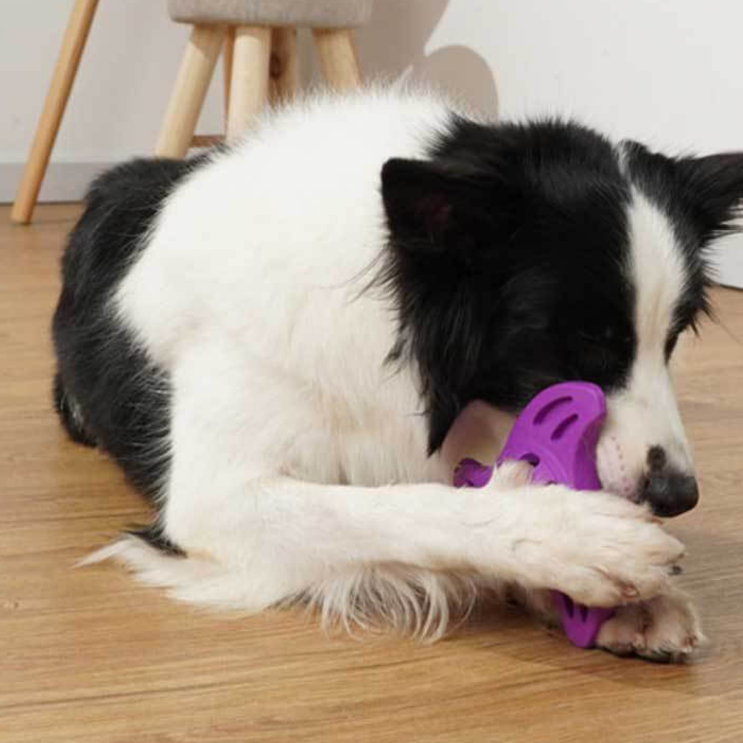 Dundies Boomerang LED Flasher Dog Enrichment Toy - Purple