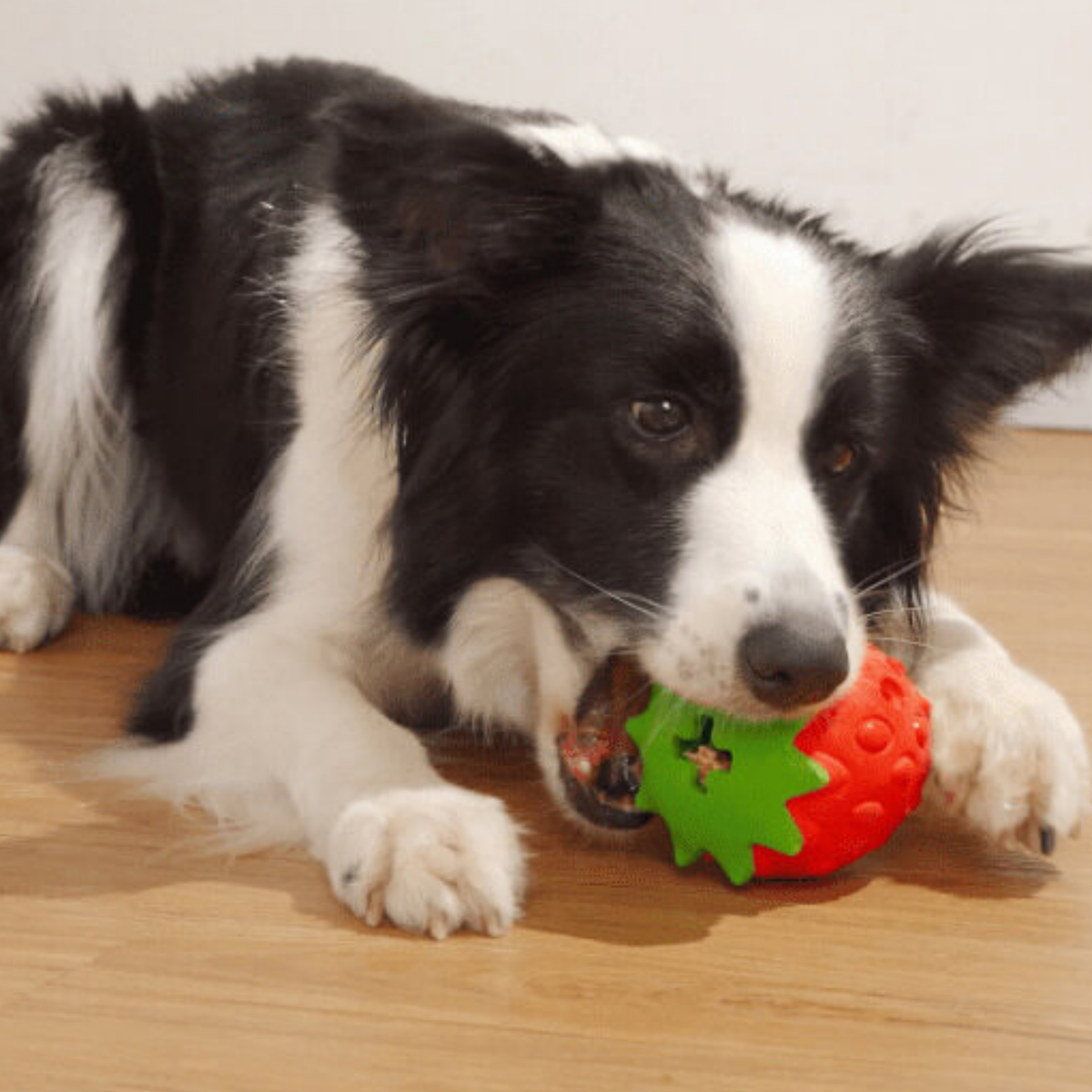 Dundies Fruity Treats Dog Enrichment Toy - Strawberry