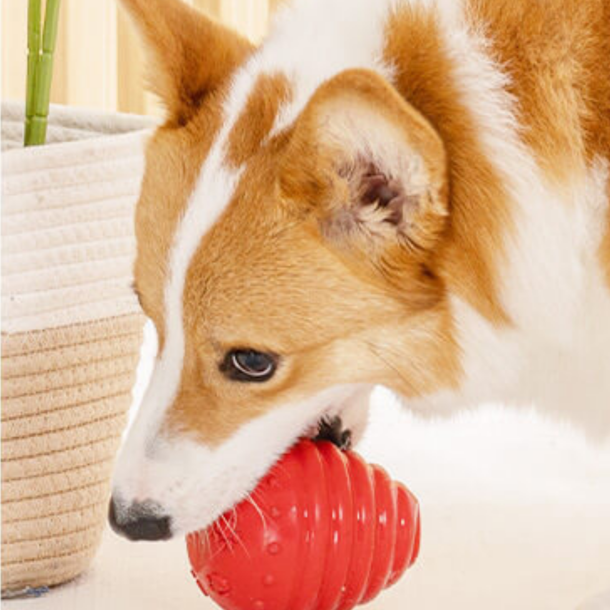 Dundies Honeycomb Snuffler Dog Enrichment Toy - Yellow