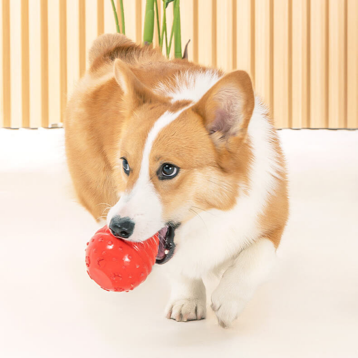 Dundies Honeycomb Snuffler Dog Enrichment Toy - Red