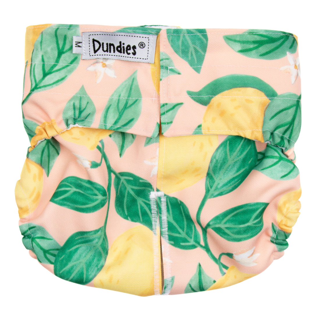 Dundies Pink Lemonade All In One Nappy (AIO)