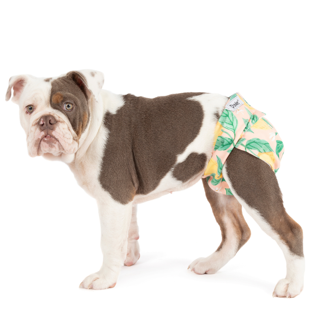 Dundies Pink Lemonade All In One Nappy (AIO)