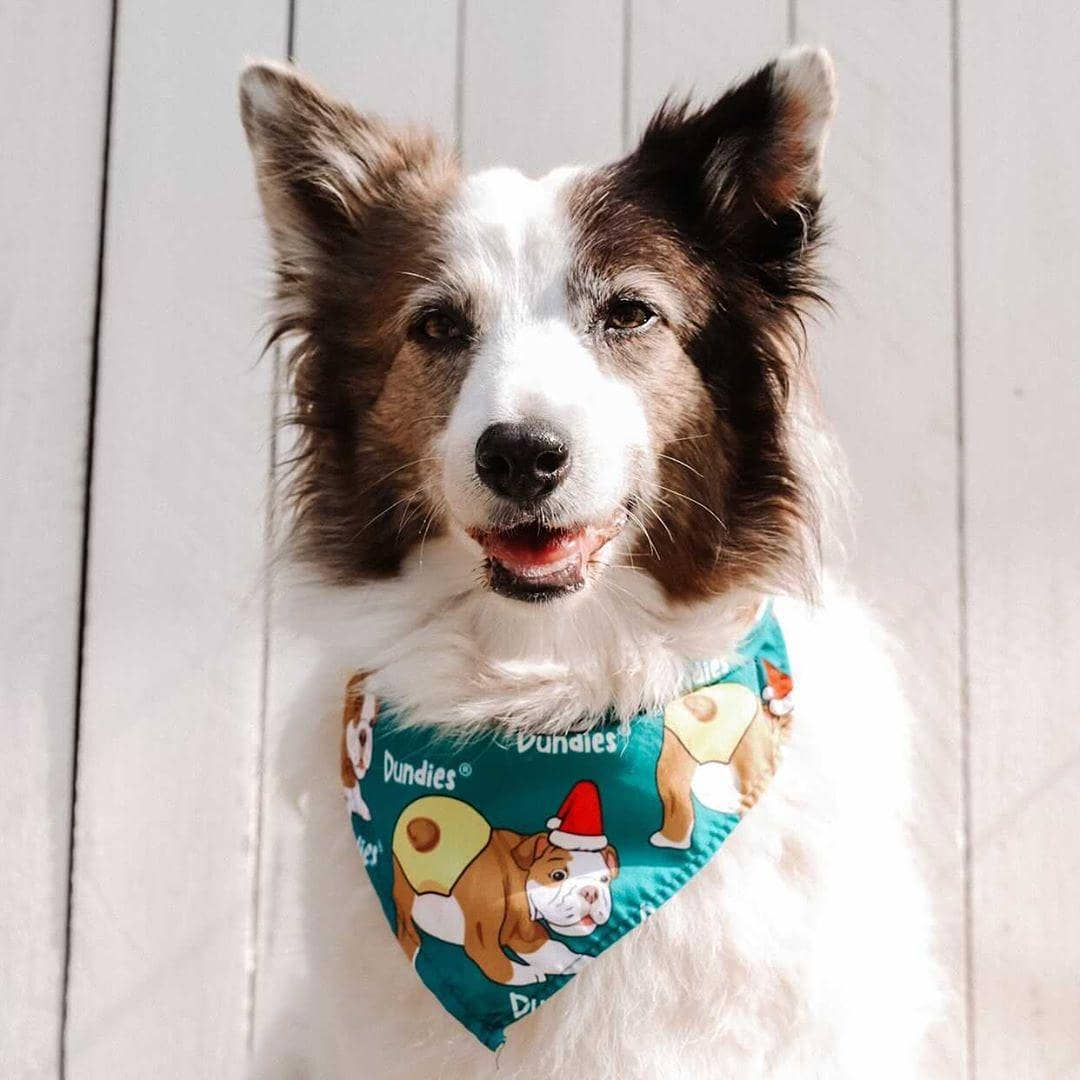 Dundies Christmas Bandana