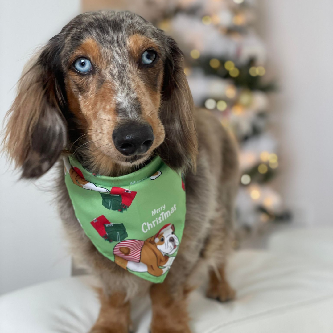 Dundies Christmas Bandana