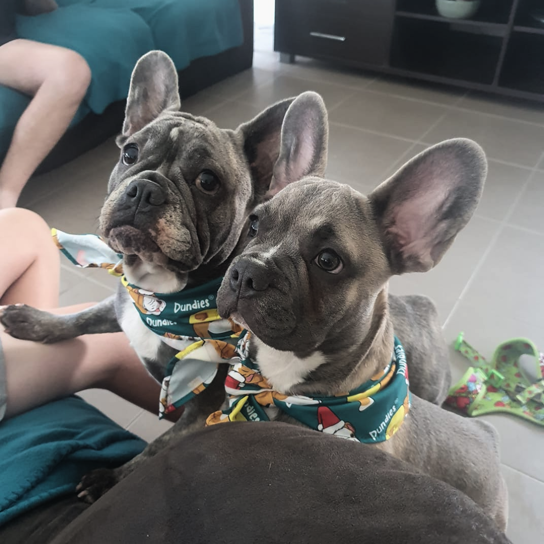 Dundies Christmas Bandana