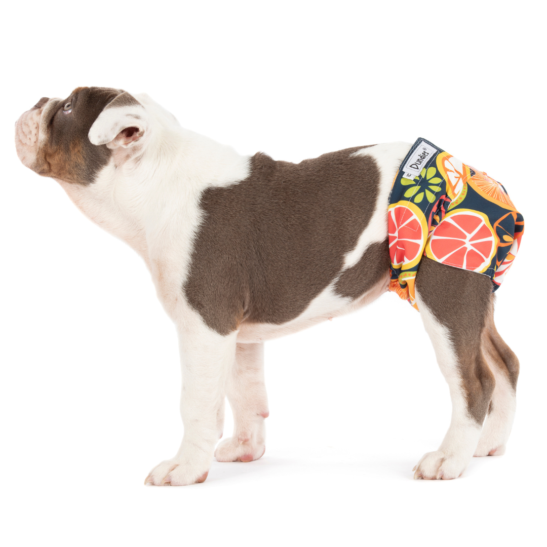 Dundies Citrus Twist All In One Nappy (AIO)