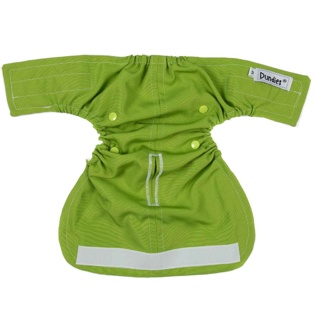 Dundies Green Apple All In One Nappy (AIO)