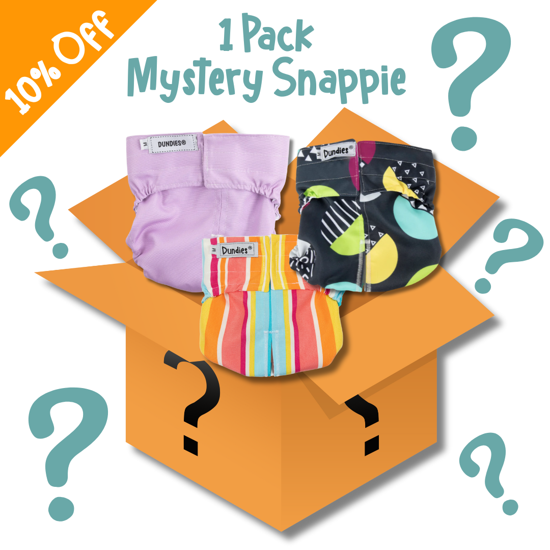 Mystery Box Dundies Snappie