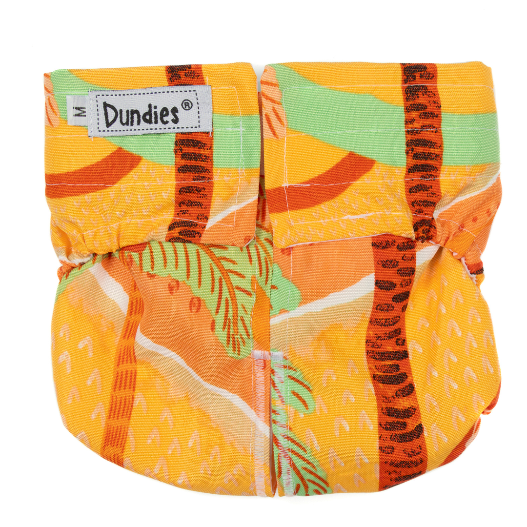 Dundies Palm Springs All In One Nappy (AIO)