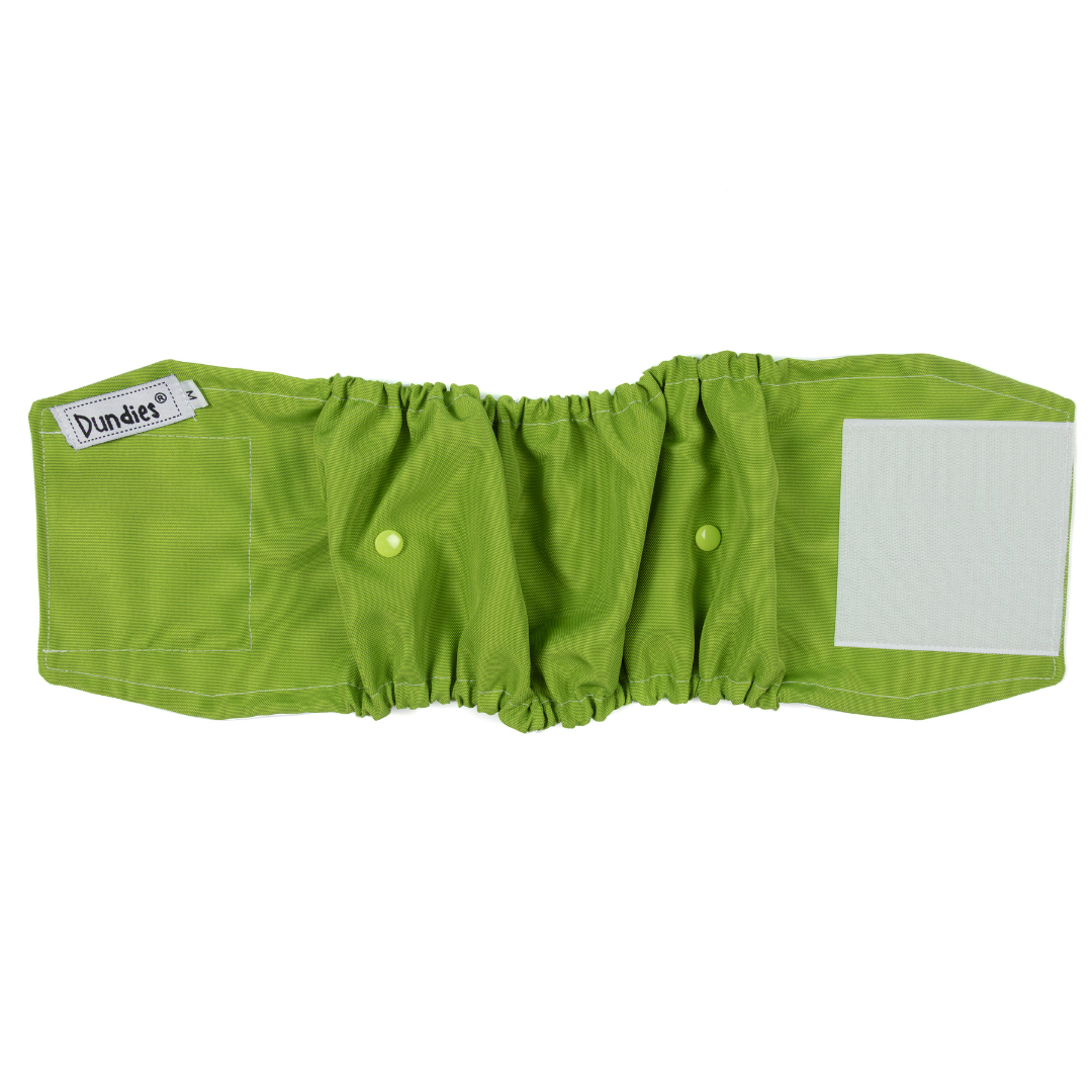 Dundies Green Apple Belly Band