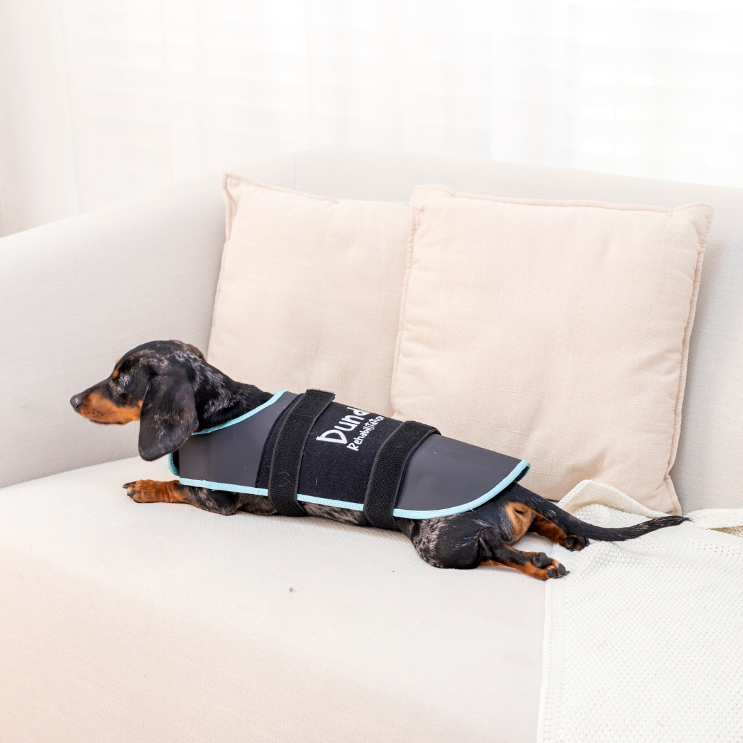 Dundies Red Light LED Therapy Coat