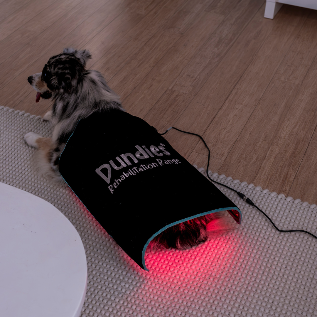 Dundies Red Light LED Therapy Mat