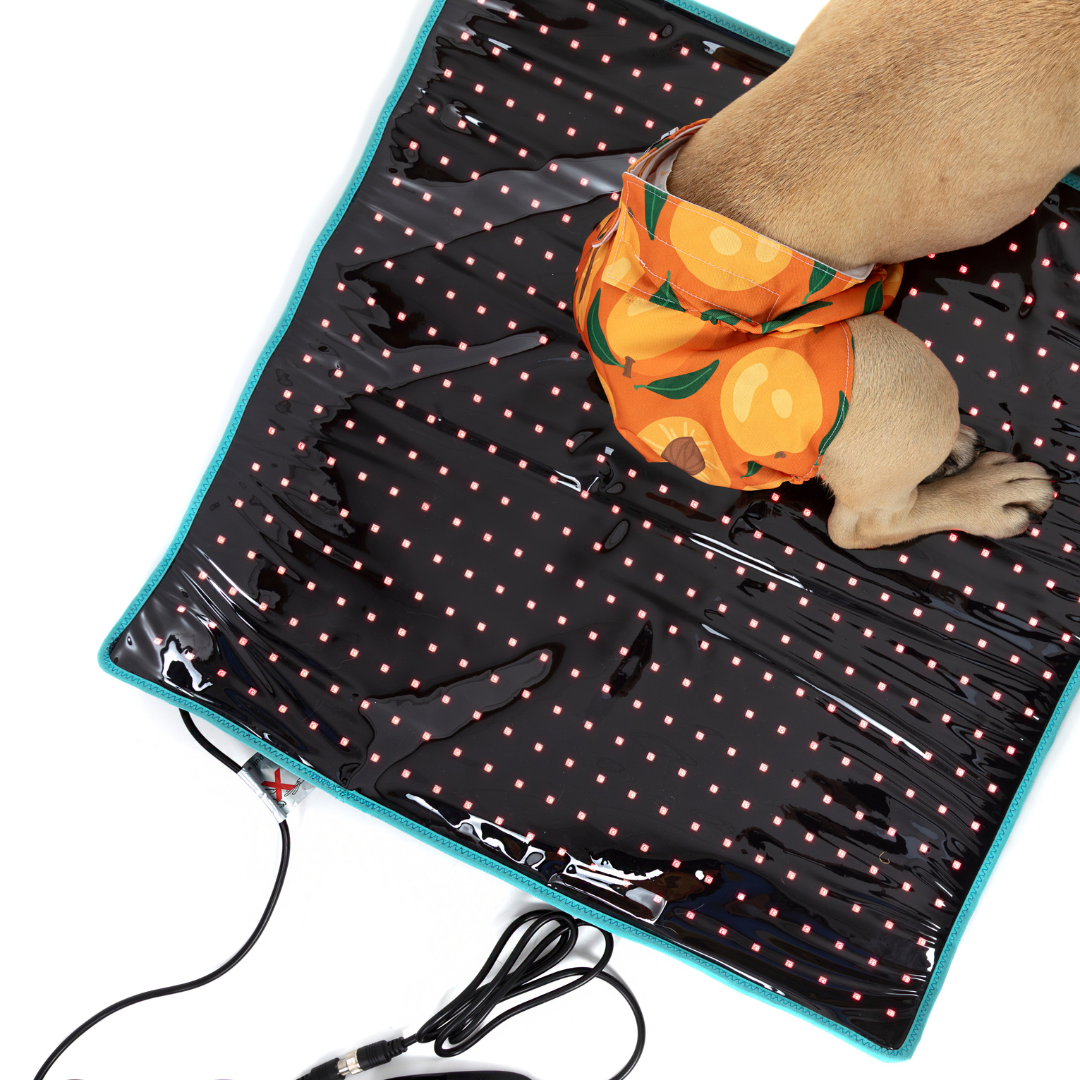 Dundies Red Light LED Therapy Mat