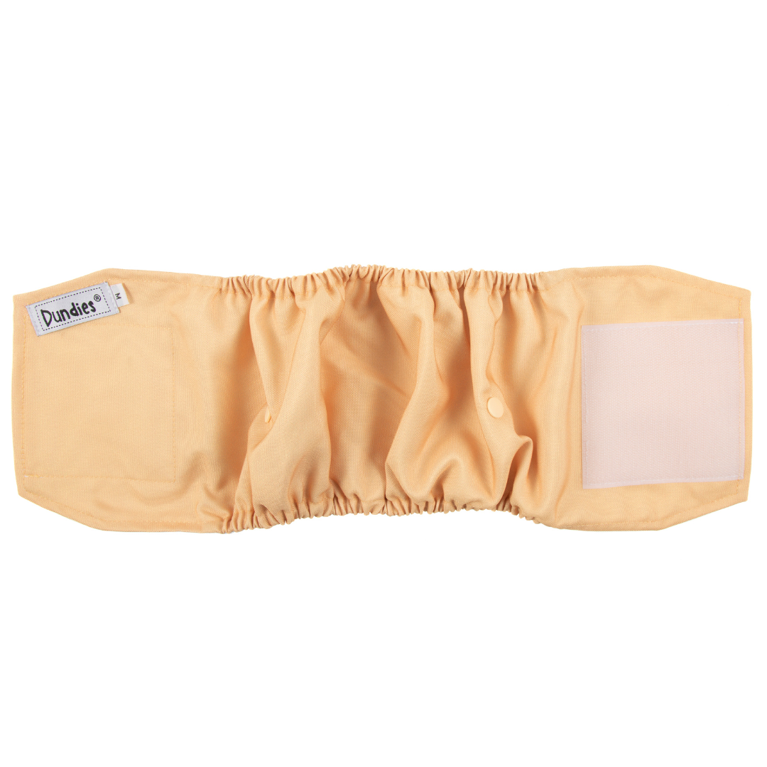Dundies Golden Biscuit V2 Belly Band