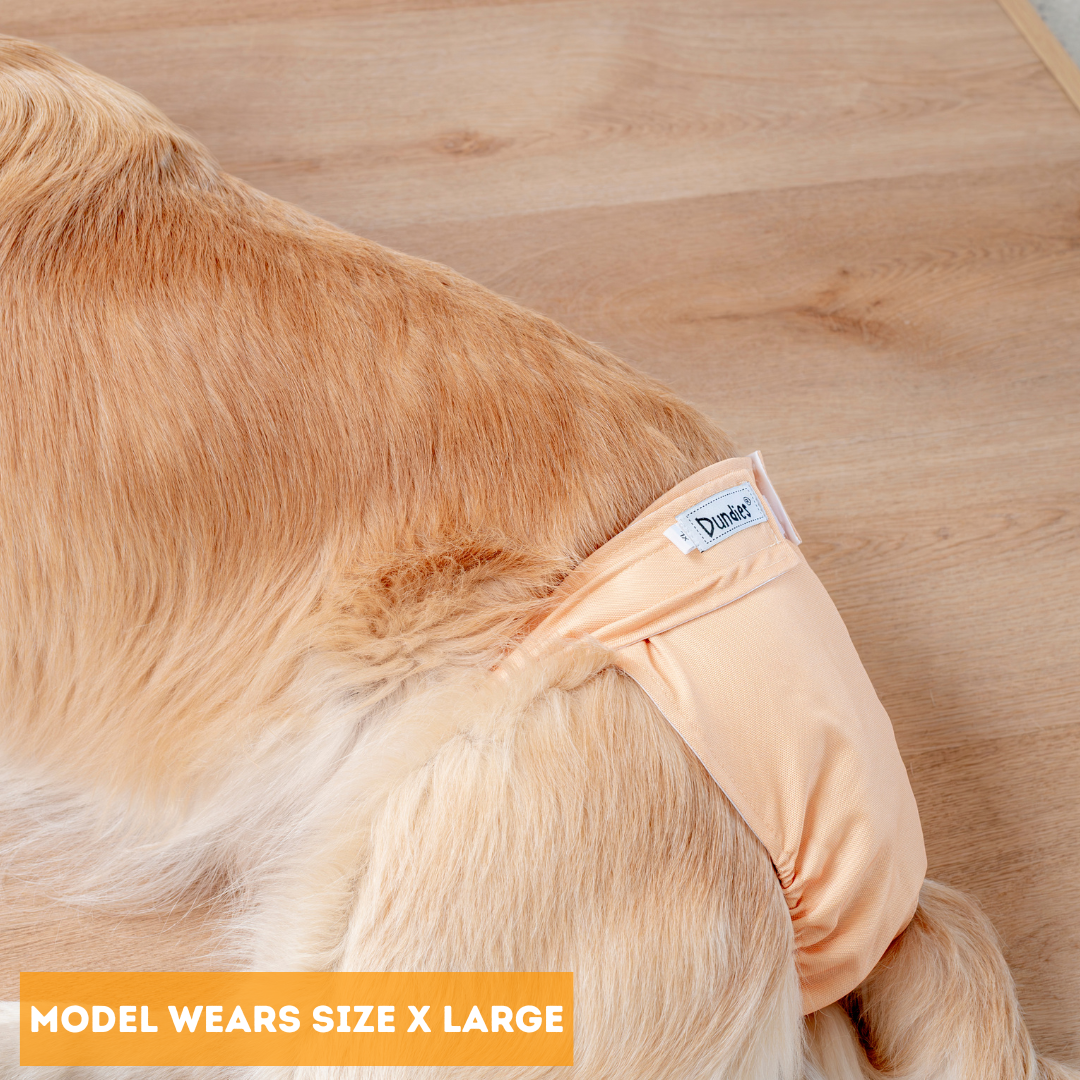 Dundies Golden Biscuit All In One Nappy V2 (AIO)