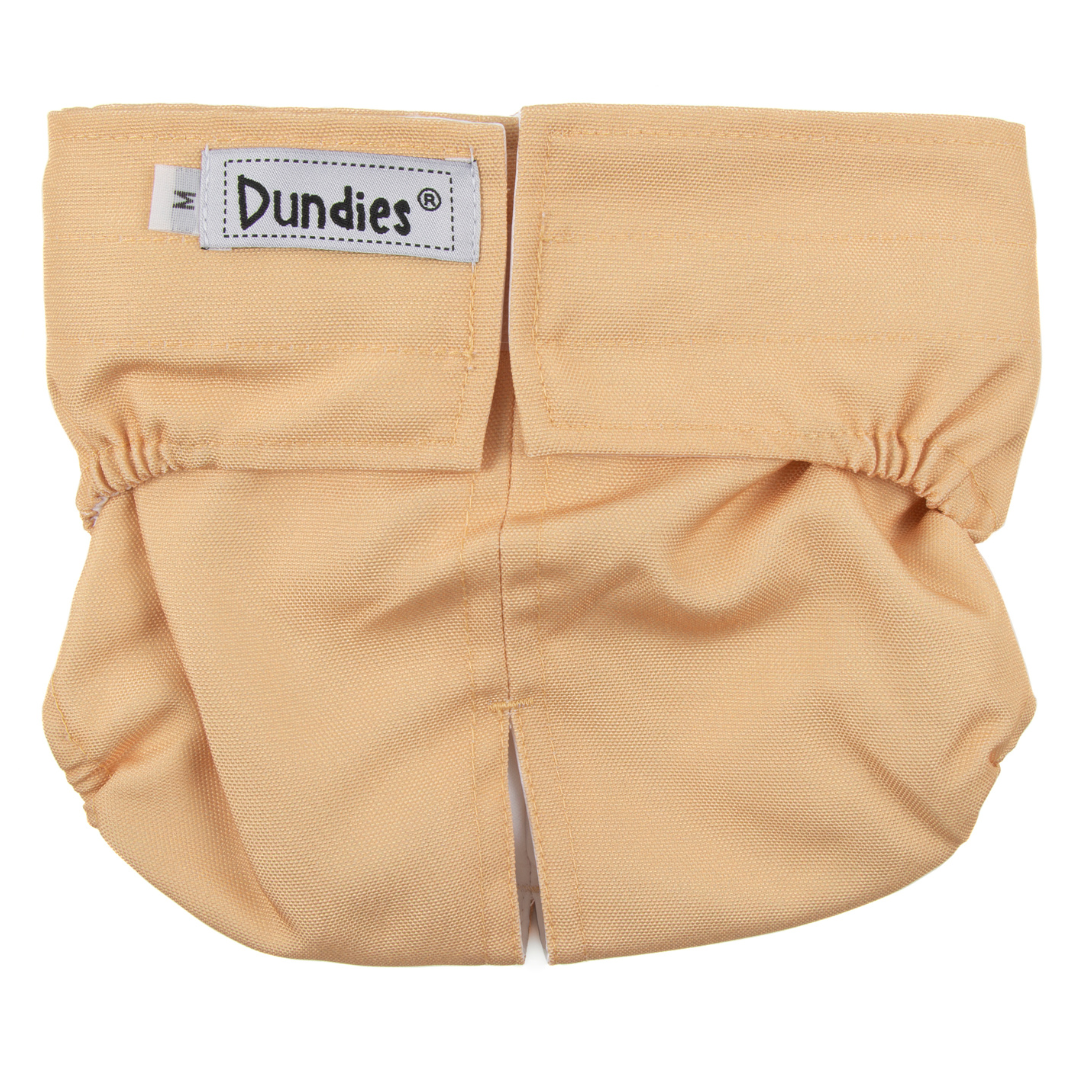 Dundies Golden Biscuit All In One Nappy V2 (AIO)