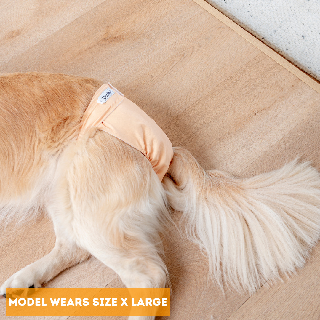 Dundies Golden Biscuit All In One Nappy V2 (AIO)