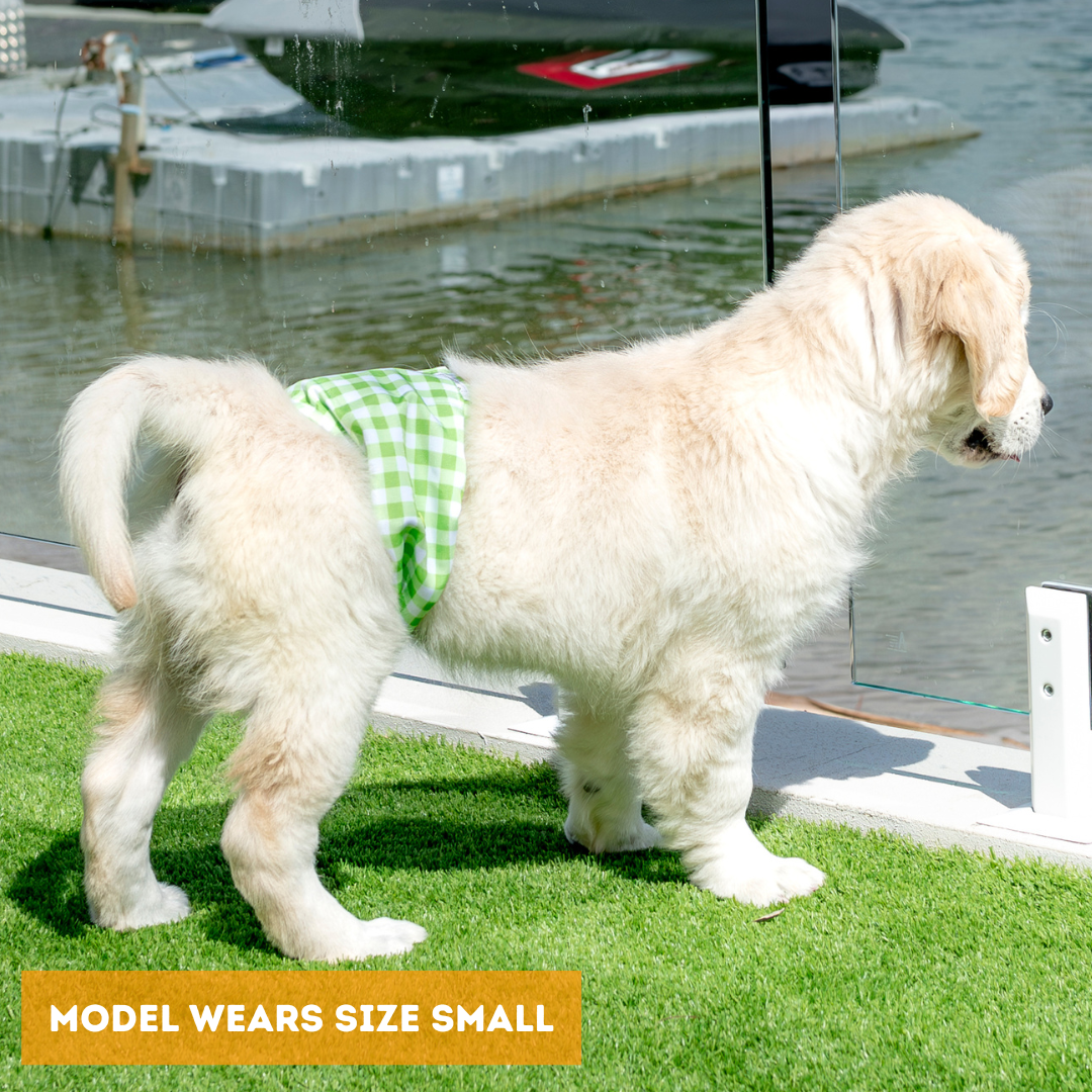 Dundies Green Gingham V2 Belly Band