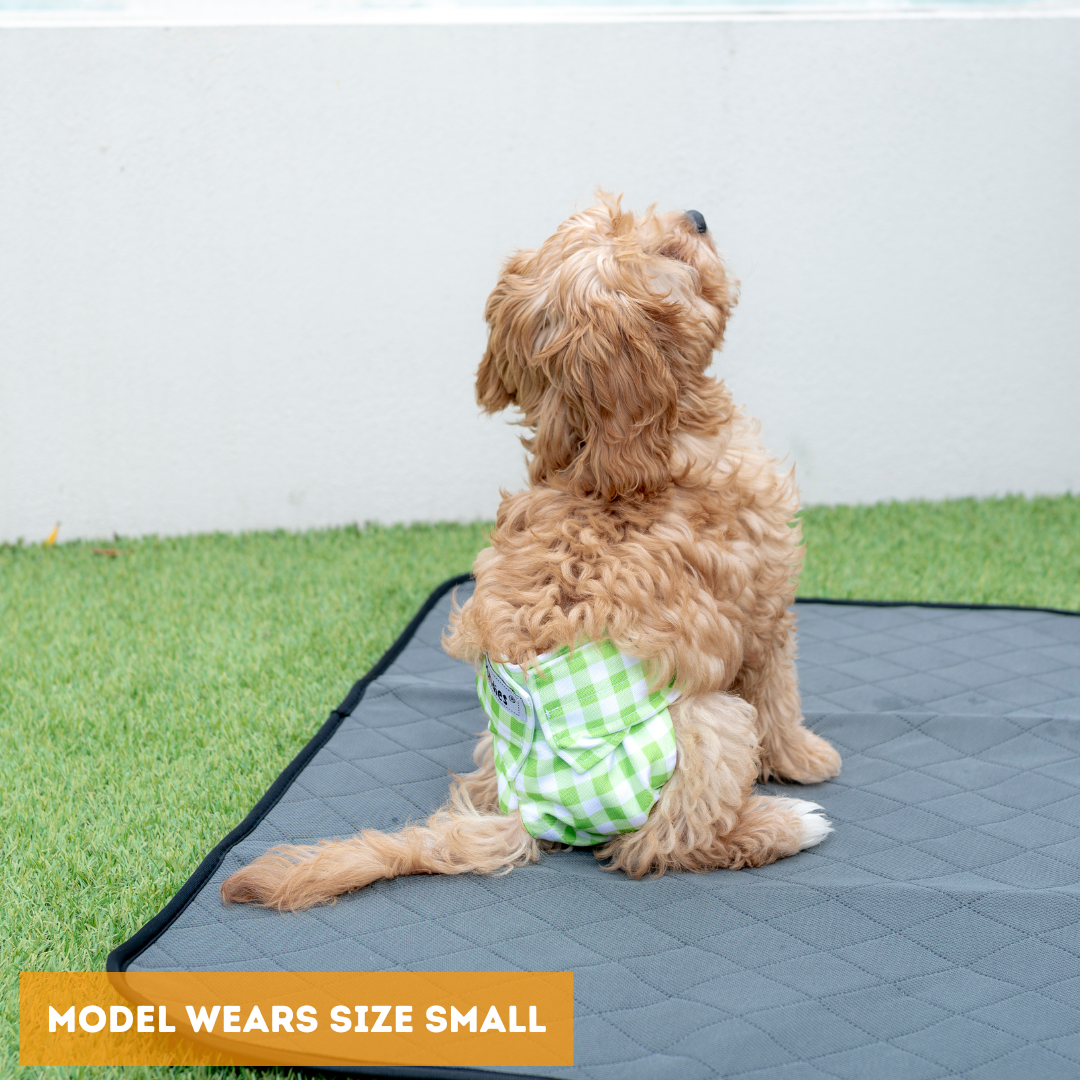 Dundies Green Gingham All In One Nappy V2 (AIO)