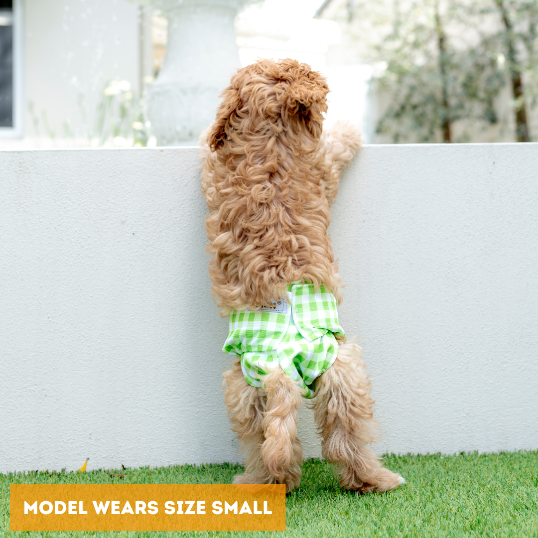 Dundies Green Gingham All In One Nappy V2 (AIO)