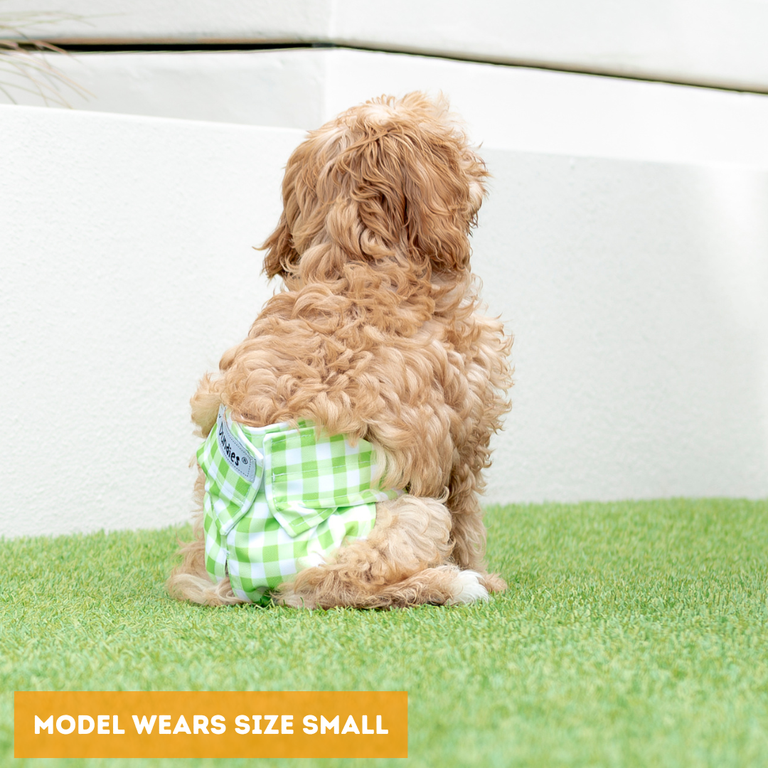 Dundies Green Gingham All In One Nappy V2 (AIO)