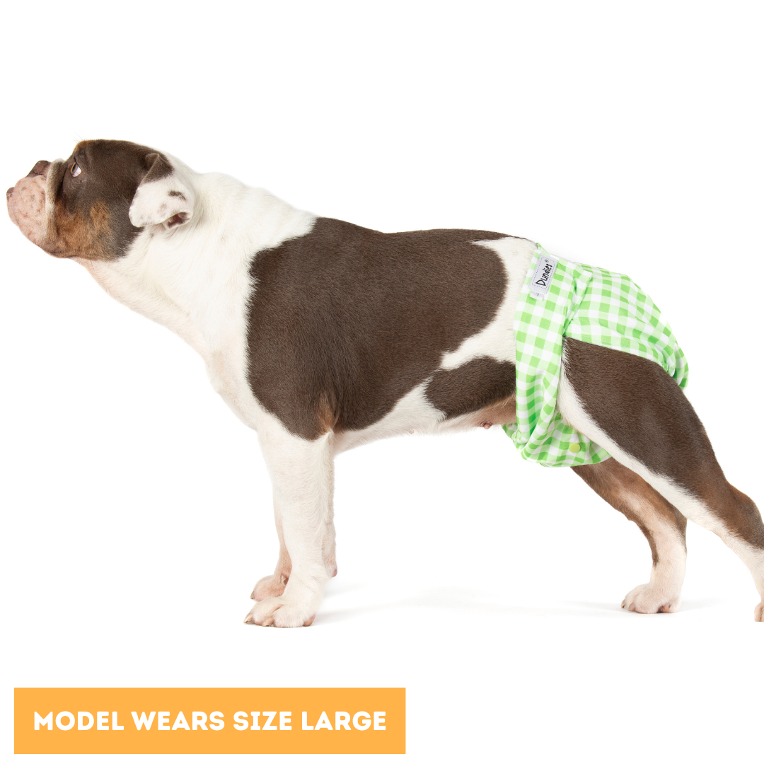Dundies Green Gingham All In One Nappy V2 (AIO)