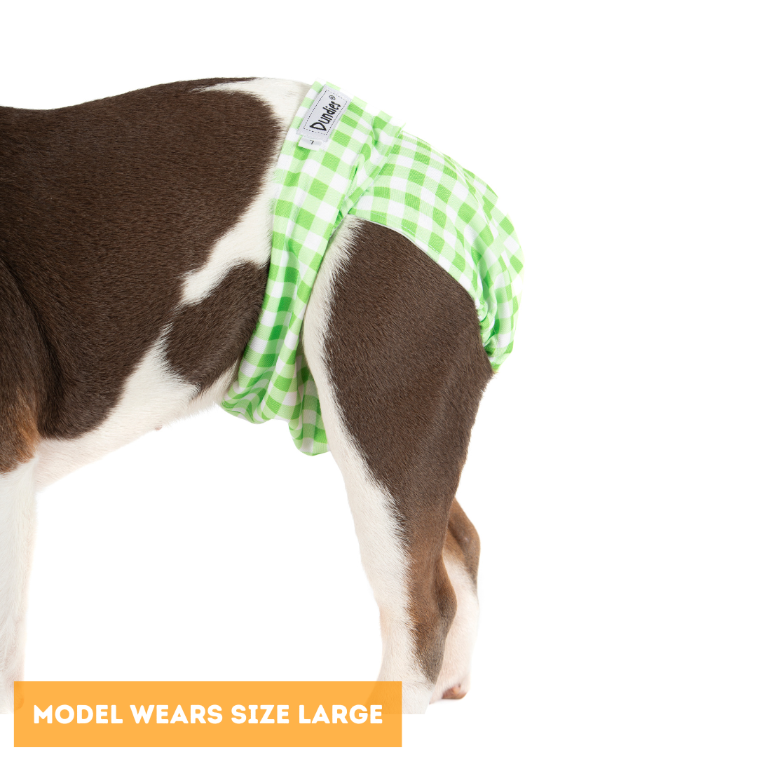 Dundies Green Gingham All In One Nappy V2 (AIO)