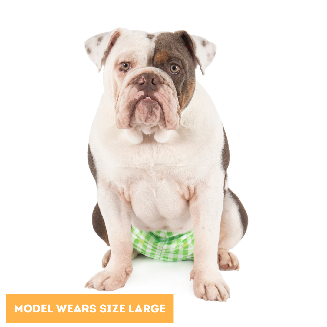 Dundies Green Gingham All In One Nappy V2 (AIO)