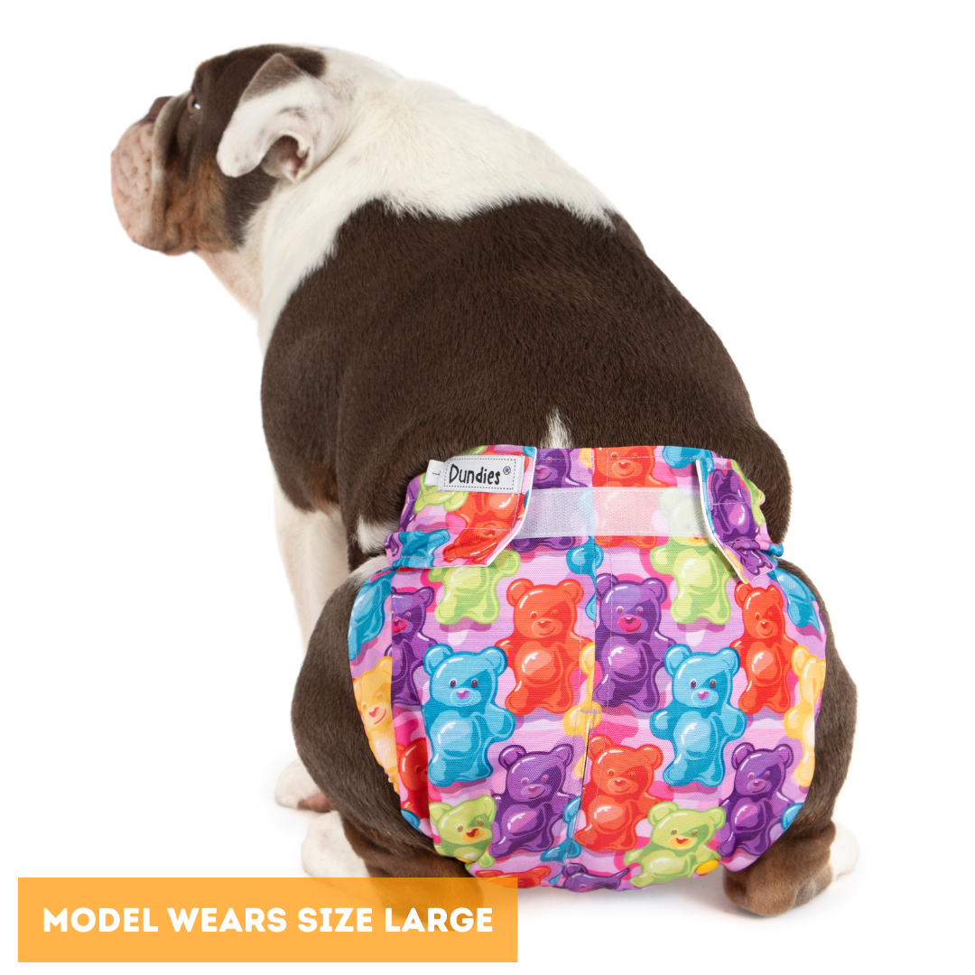 Dundies Gummy Bears All In One Nappy V2 (AIO)