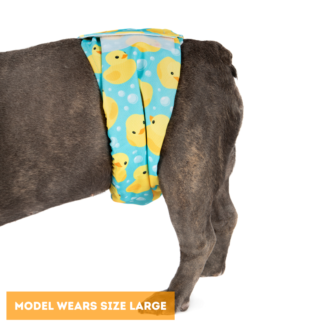 Dundies Rubber Duckies V2 Belly Band