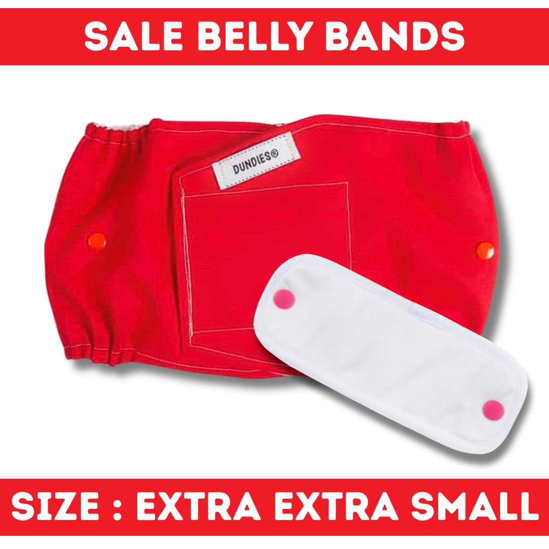Dundies Belly Band - Extra Extra Small - SALE