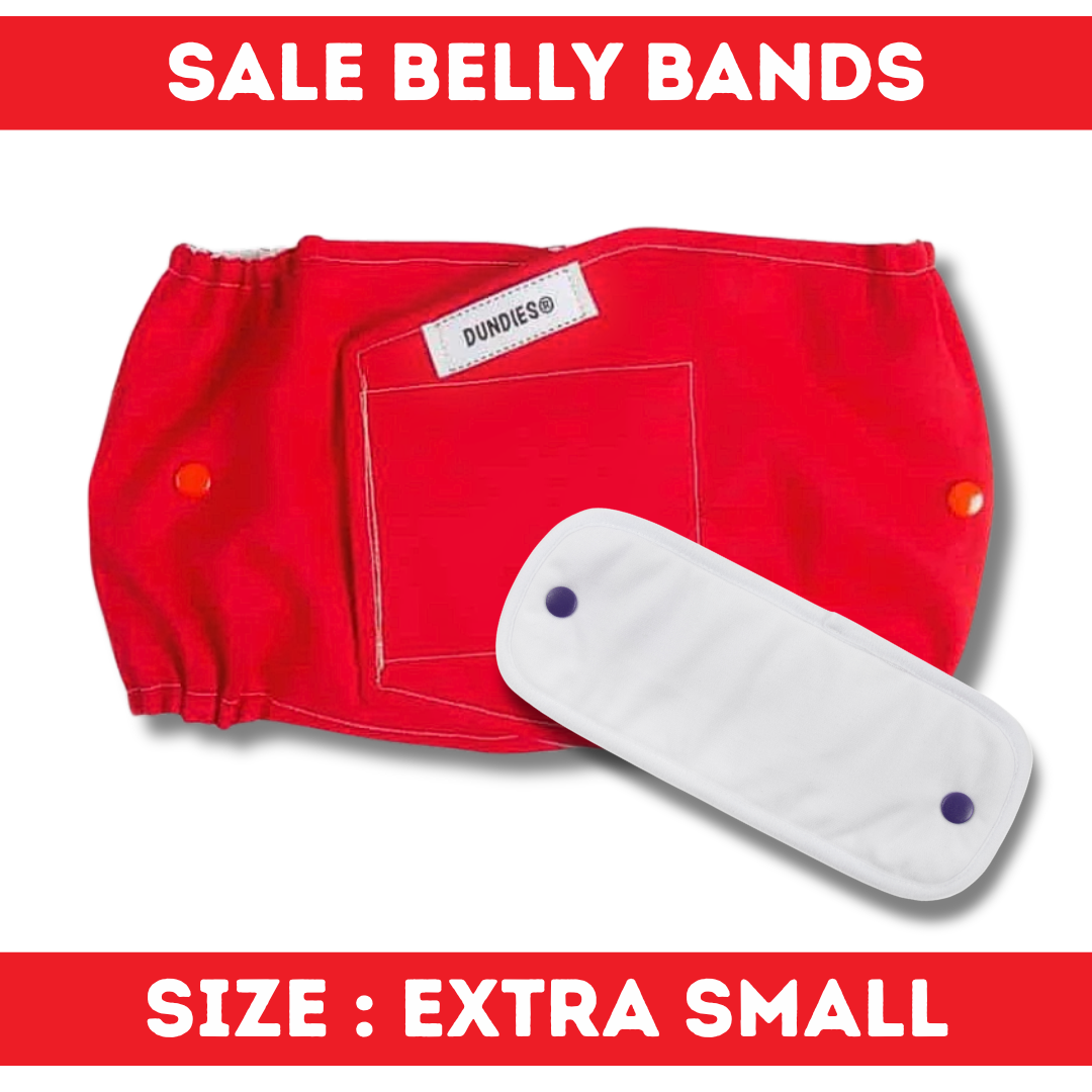 Dundies Belly Band - Extra Small - SALE