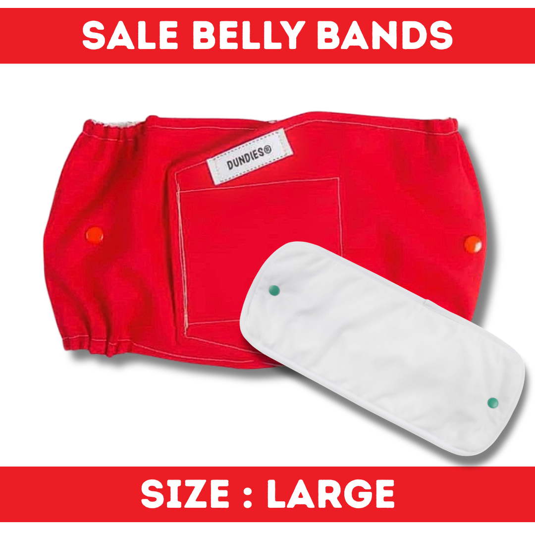 Dundies Belly Band - Large - SALE
