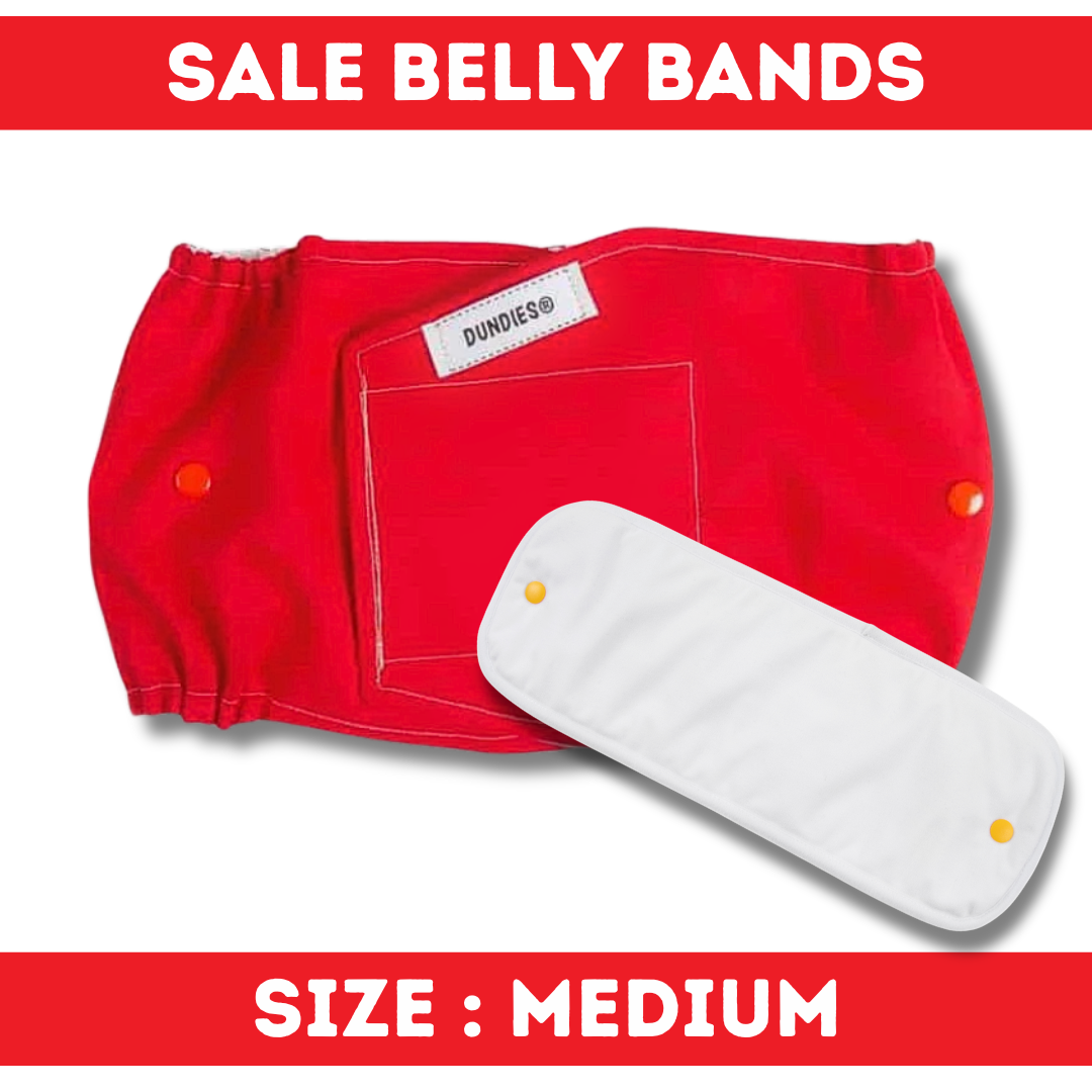 Dundies Belly Band - Medium - SALE